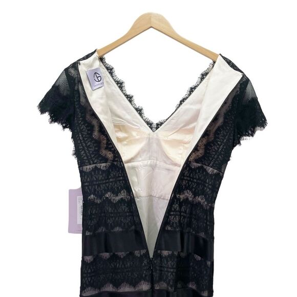 NWT JS Collections Black Nude Lace Illusion Midi Dress Sheer Stripe Size 6 NEW - Picture 8 of 13